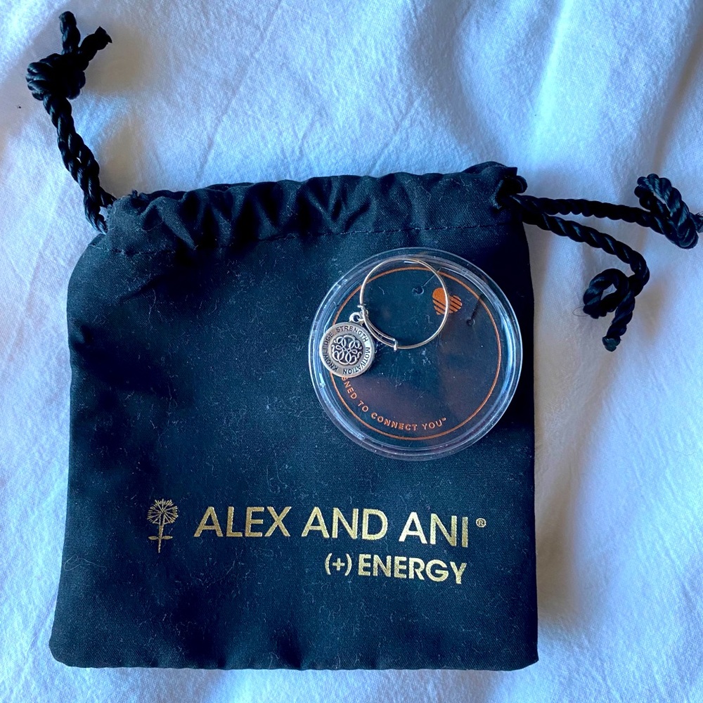 Alex and Ani BR Rafaelian Finish Charm
